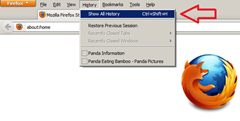 View internet history in Firefox